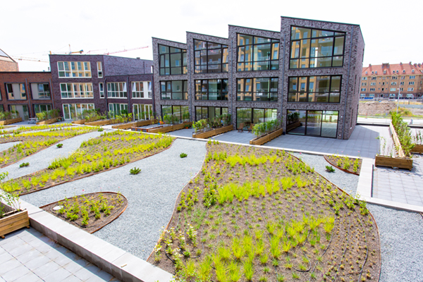 Ecodak met gebruikersdak en waterretentie op parkeergarage appartementencomplex Amsterdam